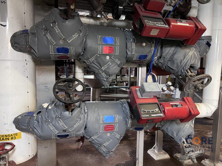 Removable insulation covers fitted to steam valve assembly